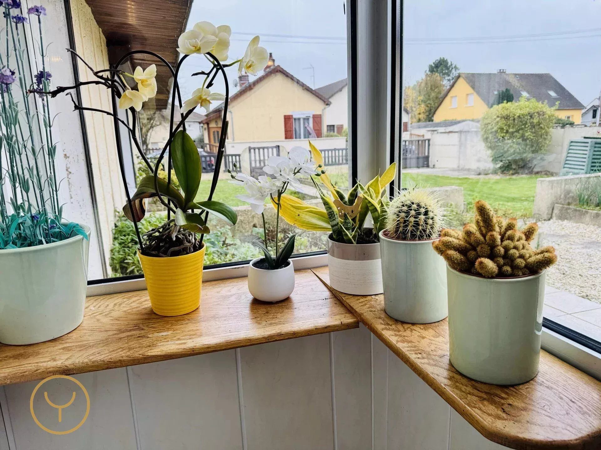 Property view 2
